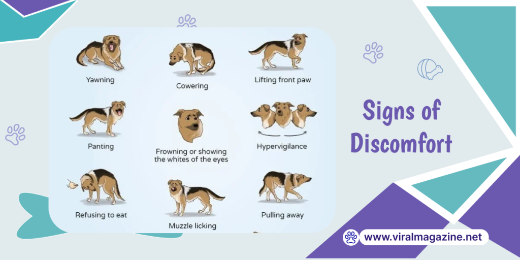 Signs of Discomfort of a Dog