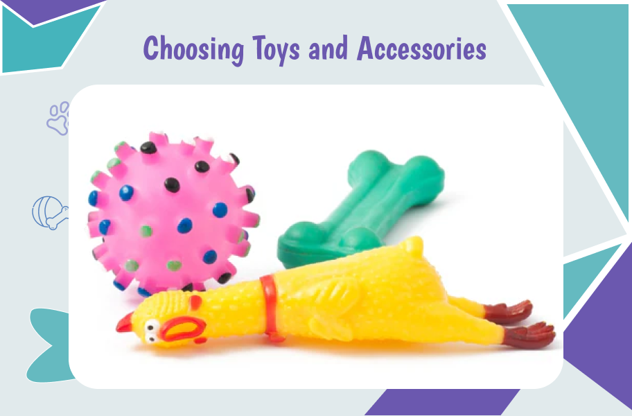 how to choose toys and accessories for dogs